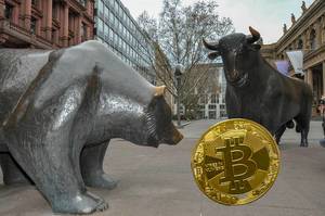 Bitcoin Market Trends: Bull Run vs. Bear Market