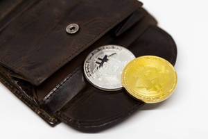 Bitcoins in a physical Wallet