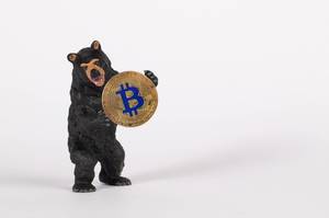 Black bear holding golden Bitcoin