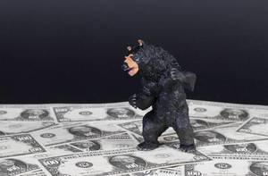 Black bear standing on money