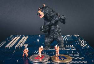 Black bear with Bitcoin miners