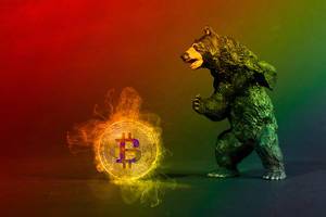 Black bear with hot Bitcoin
