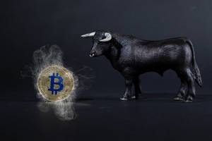 Black bull with Bitcoin in smoke on black background