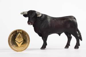 Black bull with Ethereum coin isolated on white background