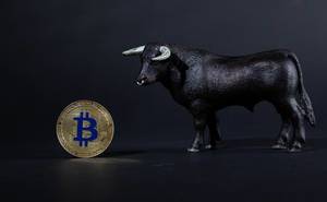 Black bull with golden Bitcoin on black background