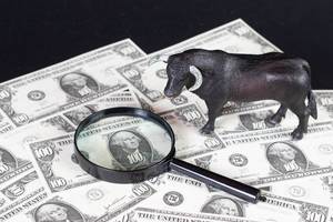 Black bull with magnifying glass on dollar banknotes