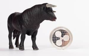 Black bull with Ripple coin