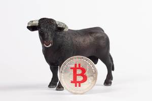 Black bull with silver Bitcoin on white background