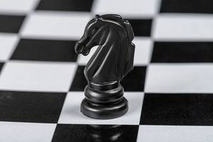 Black horse chess piece on the board background (Flip 2019)