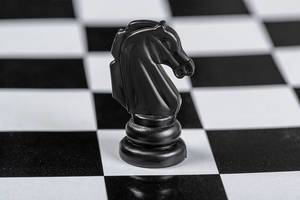 Black horse chess piece on the board background
