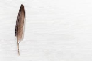 Black pigeon feather on white table with free space (Flip 2019)