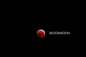 Bloodmoon with stars in the black sky