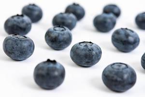Blueberries on the white background