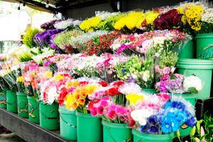 Blumensträuße in Eimern an einem Blumenverkaufsstand