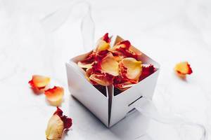 Blütenblätter einer Rose in einer Geschenkbox