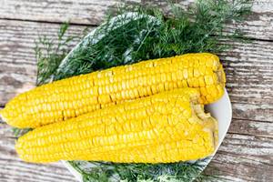 Boiled corn on a plate with dill