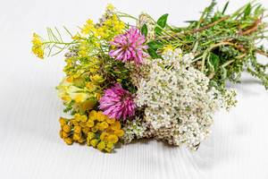Bouquet of wildflowers on a white wooden background
