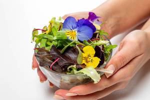 Bowl with lettuce leaves, arugula and flowers in women