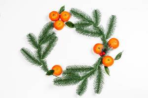 Branches of a Christmas tree with ripe tangerines in the shape of a circle on a white background. The view from the top (Flip 2019)