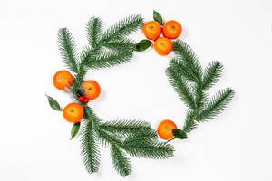 Branches of a Christmas tree with ripe tangerines in the shape of a circle on a white background. The view from the top