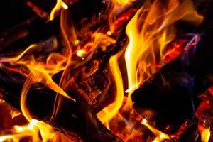 Brennendes Holz in einem Lagerfeuer - Nahaufnahme