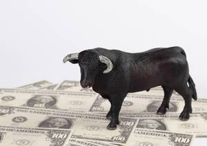 Bull standing on money