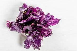 Bunch of fresh purple Basil on white background. Top view