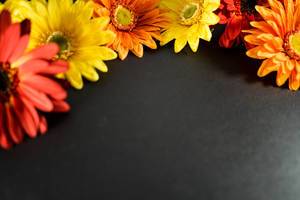 Bunte Blumen bilden einem Rahmen auf einer schwarzen Oberfläche