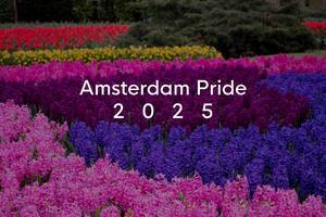 Bunte Blumenfelder in Regenbogenfarben, im niederländischen Keukenhof-Garten-Park hinter dem Bildtitel Amsterdam Pride 2025