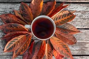 Bunte Herbstblätter mit einer Tasse Tee auf einem Holztisch in obene Aufnahme