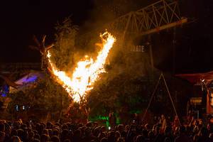 Burning Man is burning