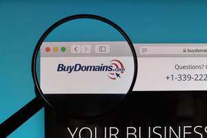 BuyDomains.com logo under magnifying glass