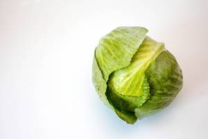 Cabbage on a White Backgrounf