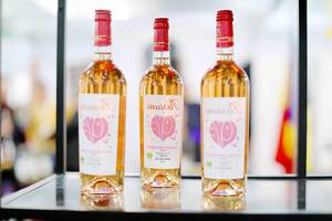 Cabernet Sauvignon Rose, Romanian wine at GoodWine wine fair (Flip 2019)