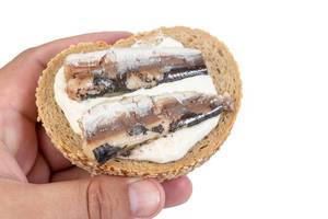 Canned-Sardines-Fish-sandwich-in-the-hand.jpg
