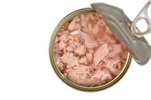 Canned-Tuna-Fish-with-copy-space-above-white-background.jpg