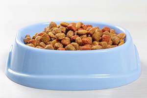 Cat food in blue bowl on white wooden background