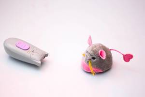 Cat Mouse Toy with Remote