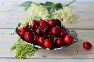 Cherries and a flower of elderberry