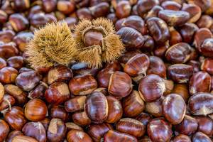 Chestnuts with cupules on marketplace