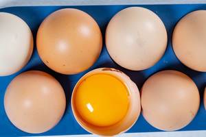 Chicken eggs in an egg box