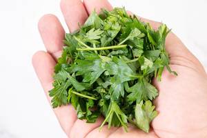 Chopped Parsley in the hand above white background (Flip 2019)