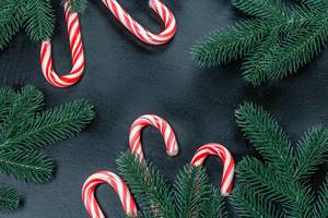 Christmas background with Christmas tree branches and cane candies (Flip 2019)