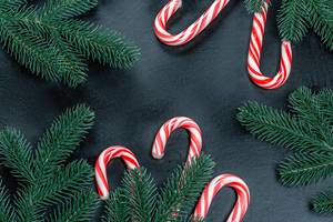 Christmas background with Christmas tree branches and cane candies