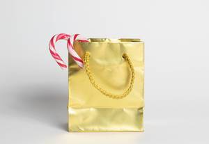 Christmas gift in gold shopping bag
