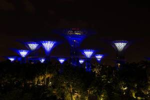 City Forest in Singapur bei Nacht
