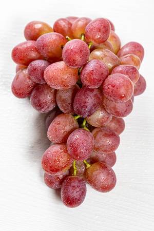 Close-up of a branch of ripe grapes with drops of water
