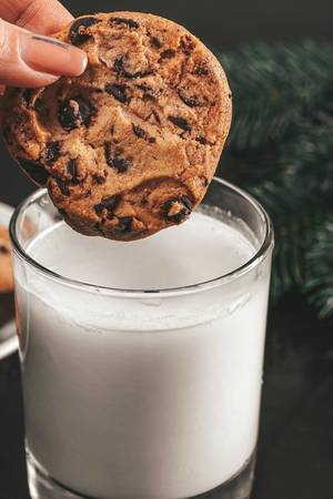 Close up of a cookie with pieces of chocolate dipped in a glass of milk