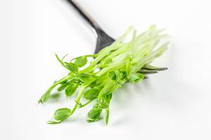 Close - up of a fork with fresh micro-green peas on a white background (Flip 2020)