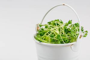 Close up of a white bucket with fresh watercress